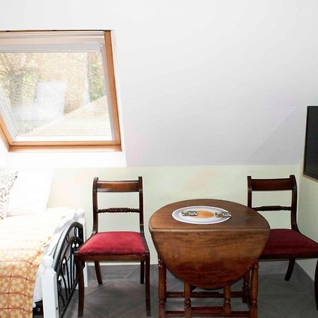 Forest Studio Apartment Gated Parking On 2 Acres Garden تشيسلهورست المظهر الخارجي الصورة