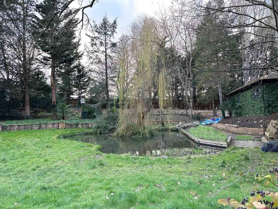 Forest Studio Apartment Gated Parking On 2 Acres Garden تشيسلهورست المظهر الخارجي الصورة