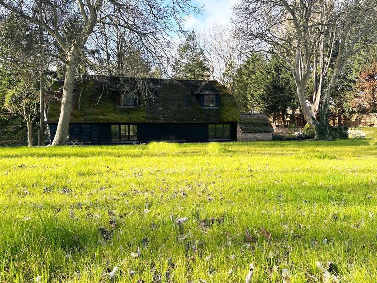 Forest Studio Apartment Gated Parking On 2 Acres Garden تشيسلهورست المظهر الخارجي الصورة